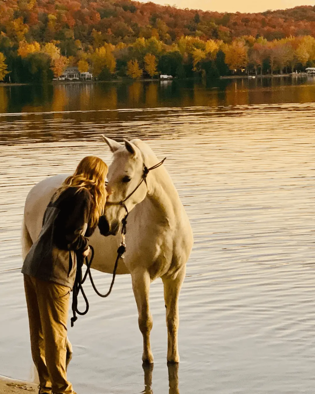 Horse in pond